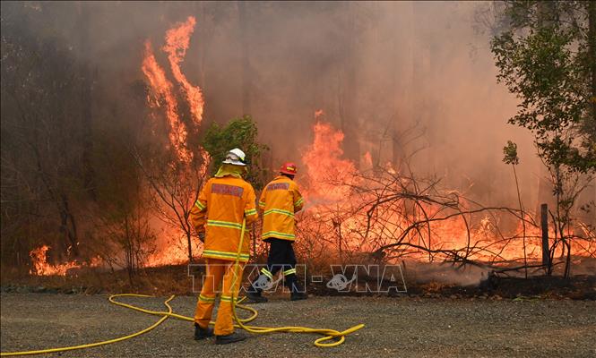 Bang New South Wales công bố kết quả điều tra thảm họa cháy rừng năm 2019-2020