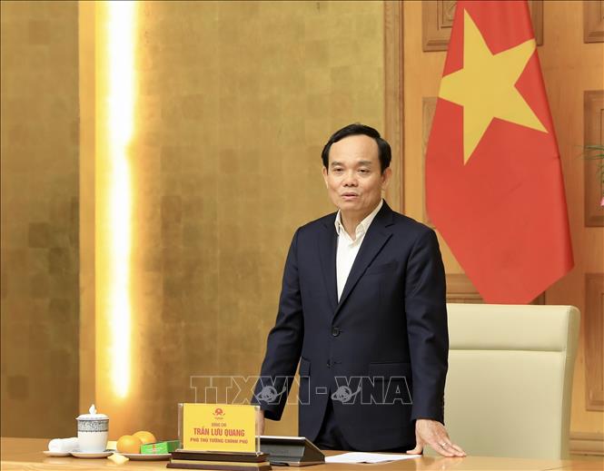 Phó Thủ tướng Trần Lưu Quang. Ảnh: Lâm Khánh/TTXVN