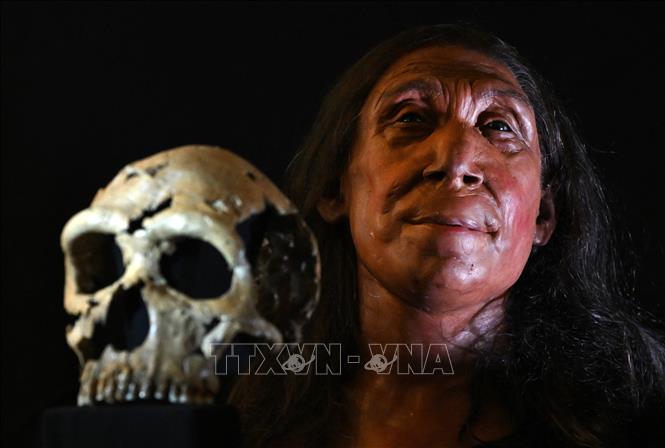 [Điện tử và sống số] Phục dựng khuôn mặt người Neanderthal sống cách đây 75.000 năm