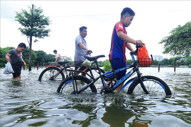 Chú thích ảnh