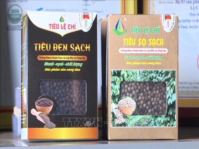 Giá hồ tiêu tăng vọt, xuất khẩu dự báo hồi phục tích cực nửa cuối năm