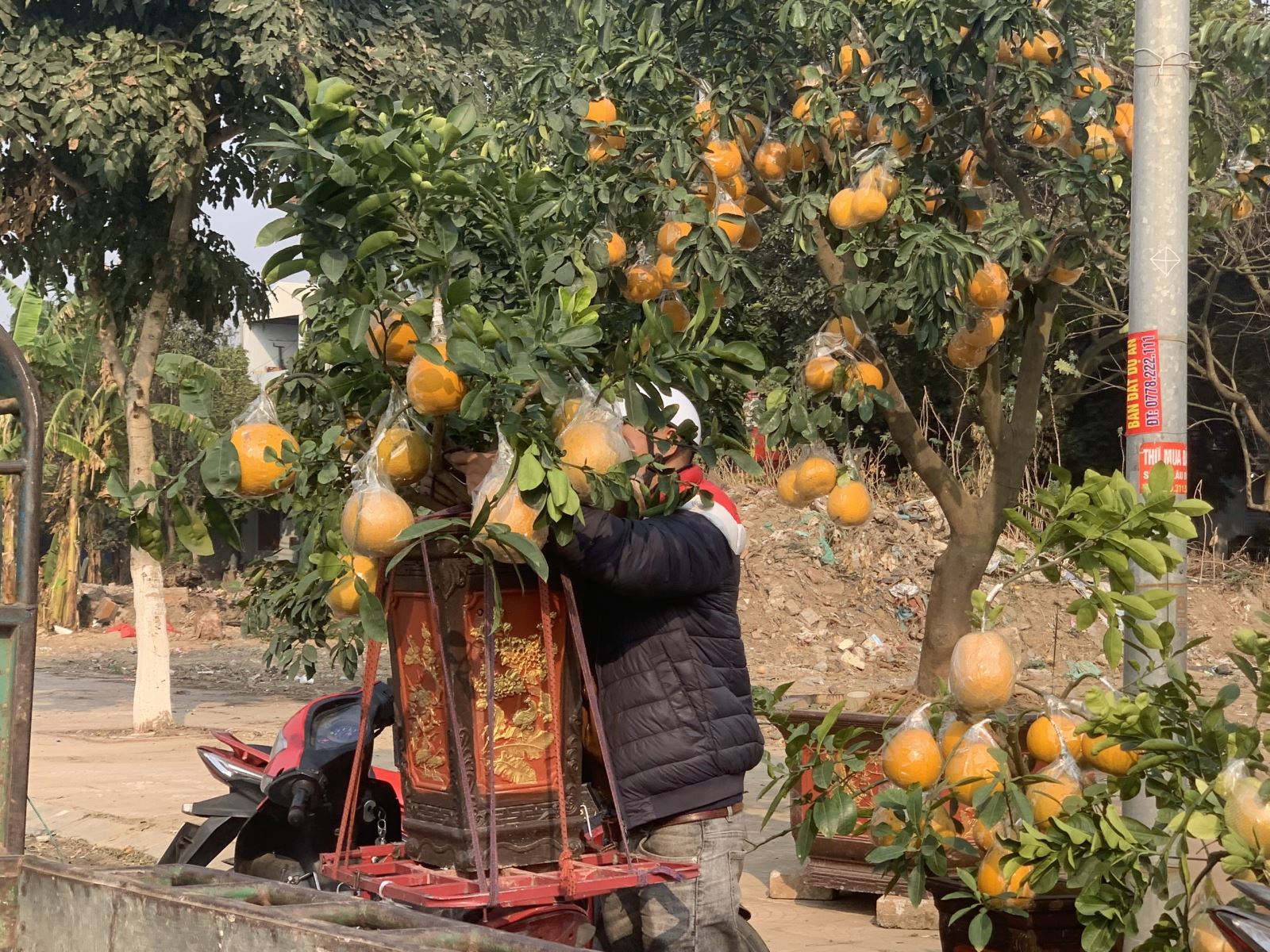 Chú thích ảnh