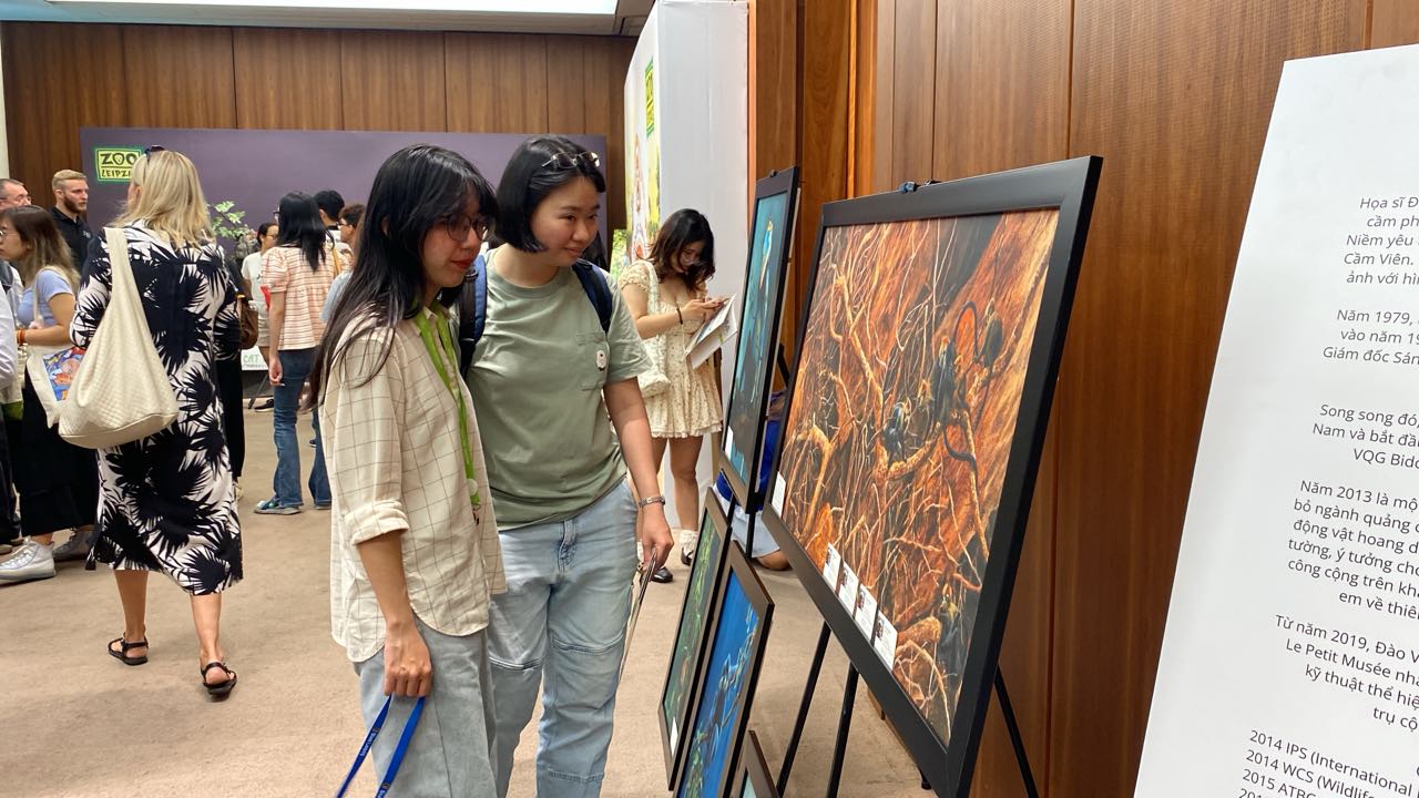 Chú thích ảnh