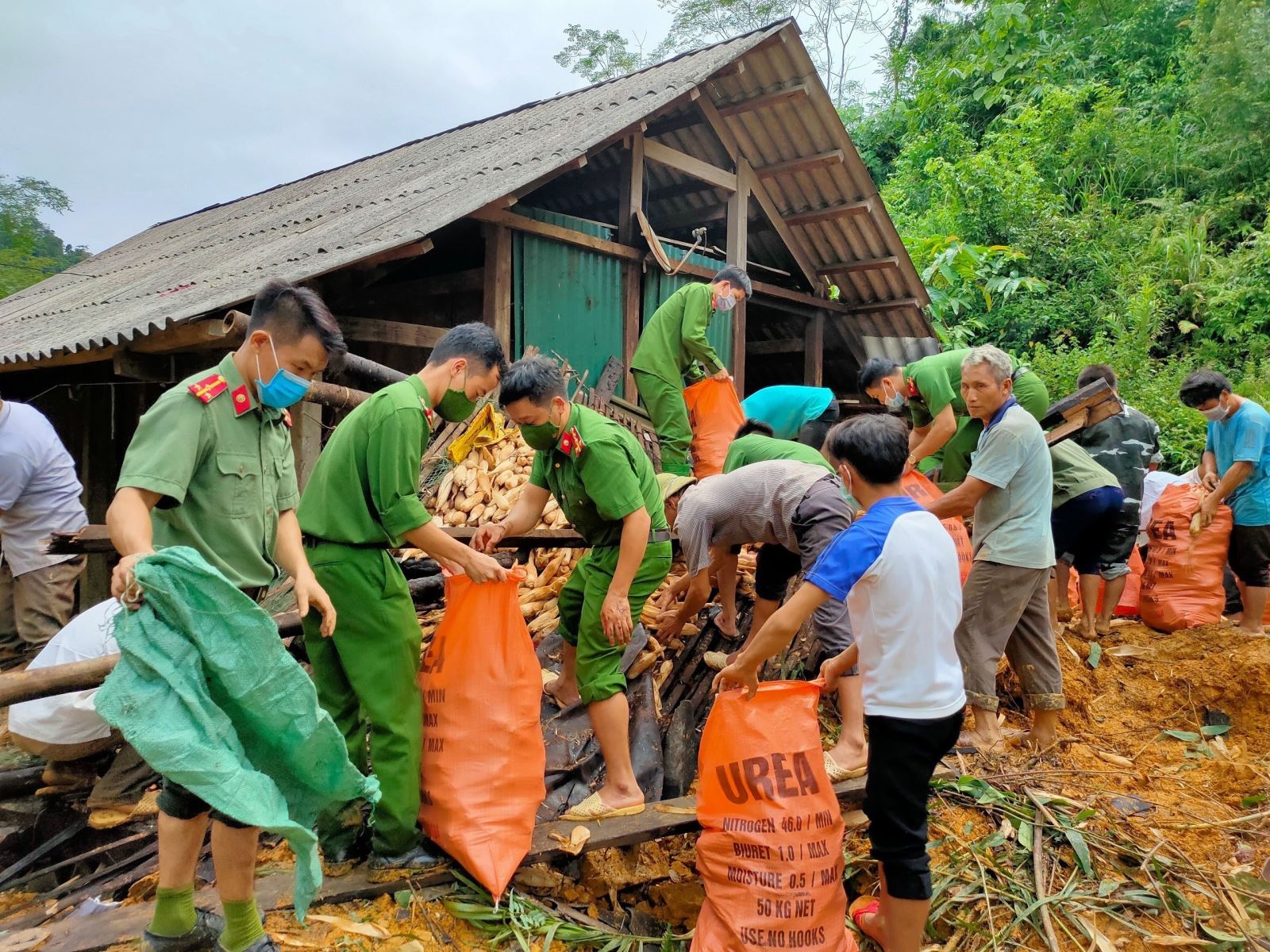 Chú thích ảnh