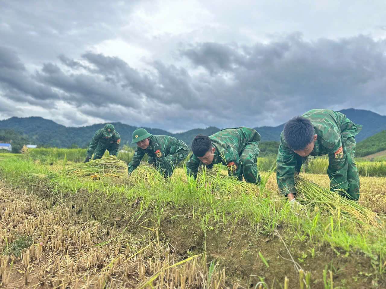 Chú thích ảnh