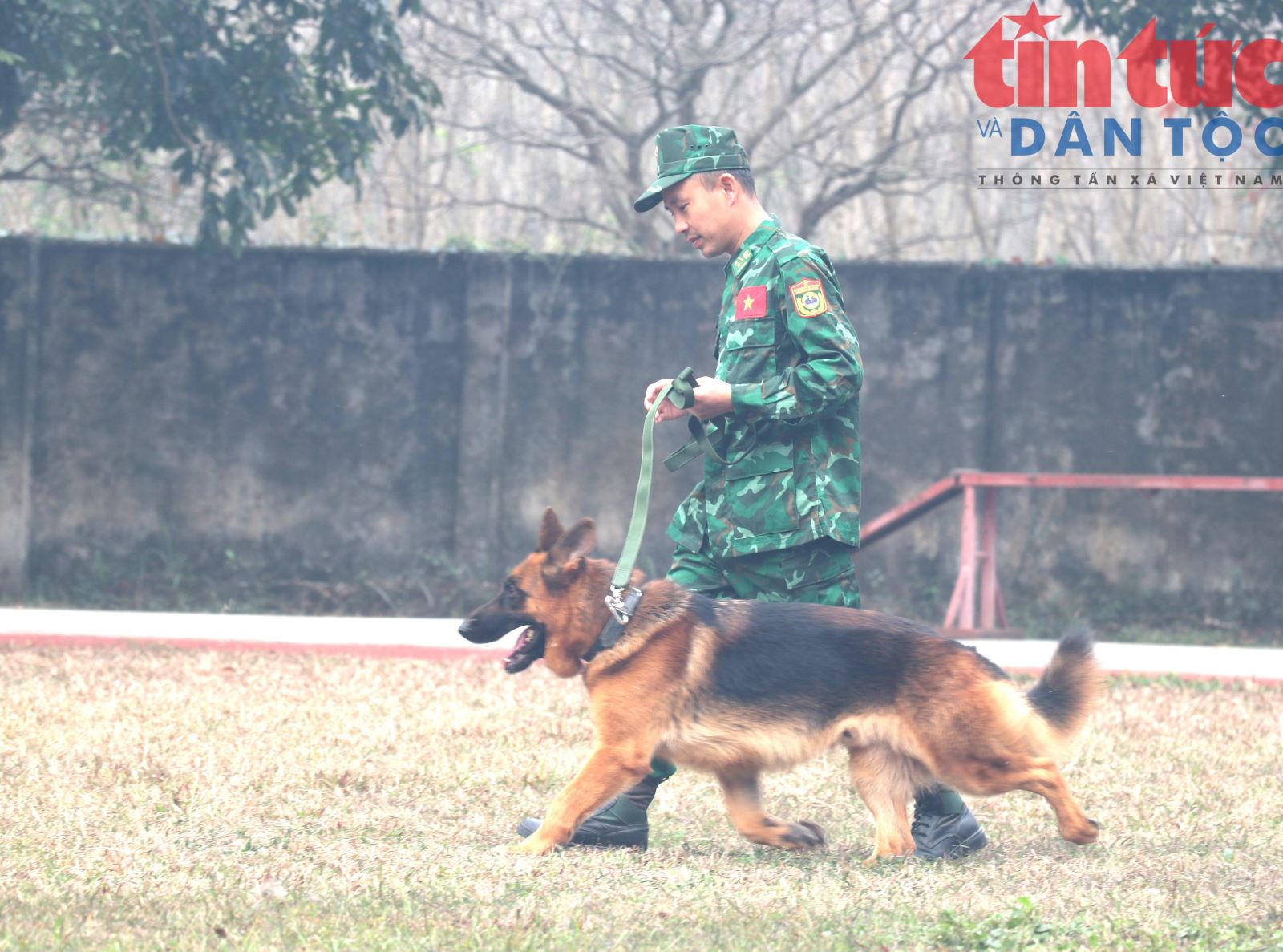 Chú thích ảnh
