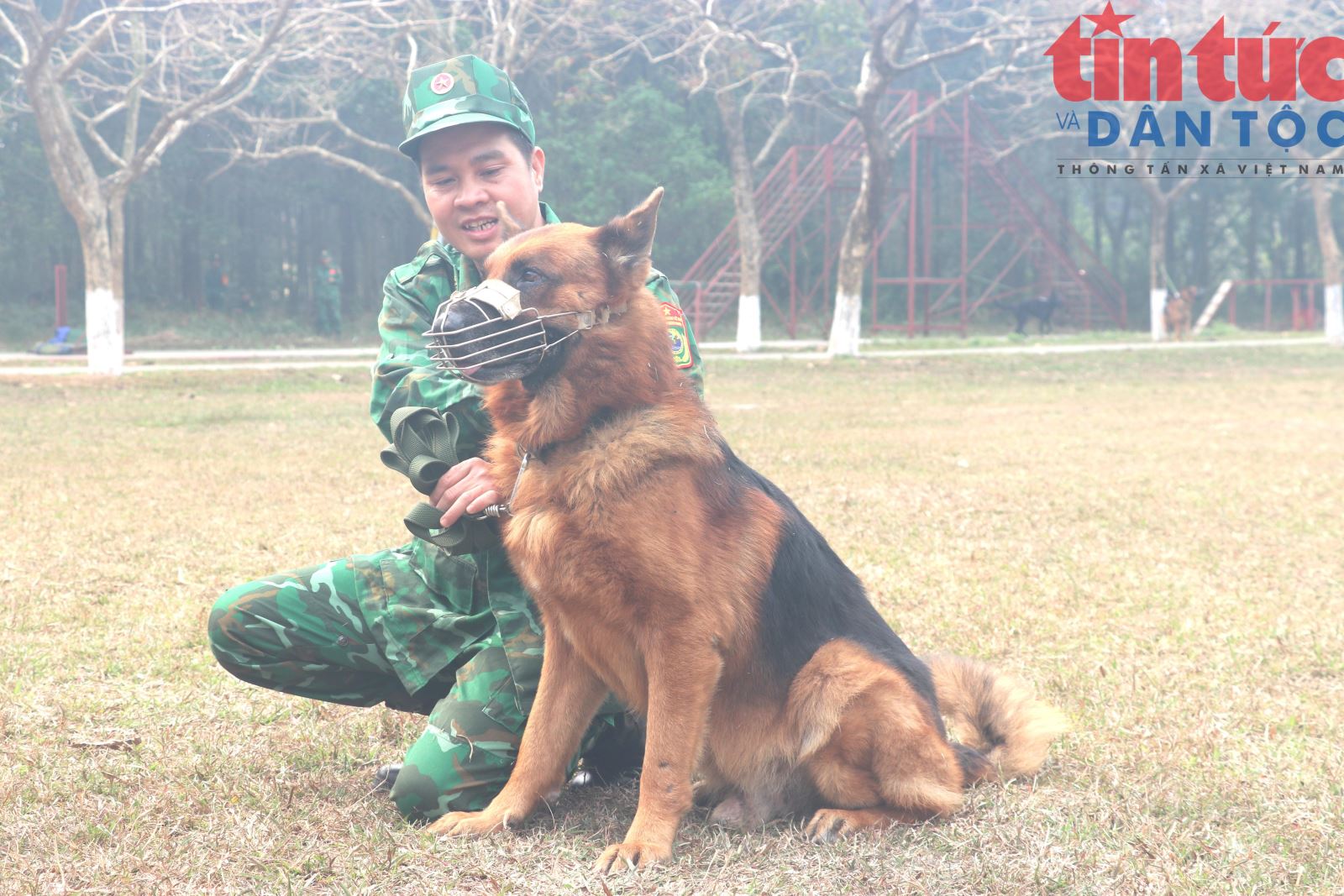 Chú thích ảnh