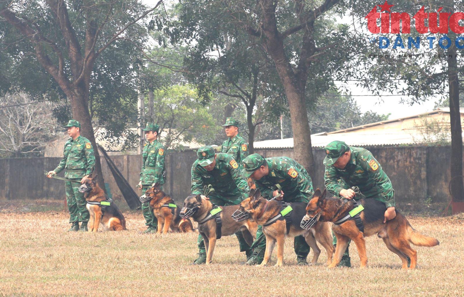Chú thích ảnh