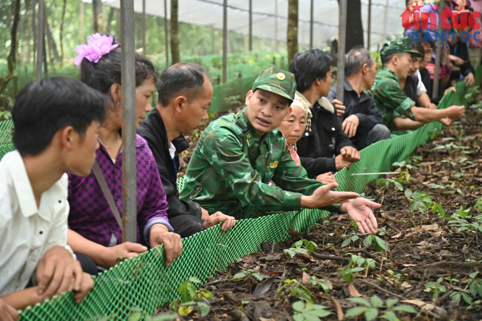 Chú thích ảnh