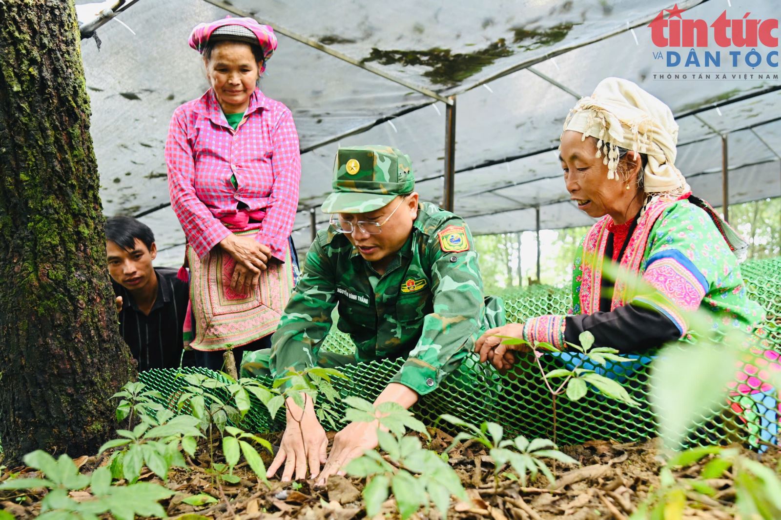 Chú thích ảnh