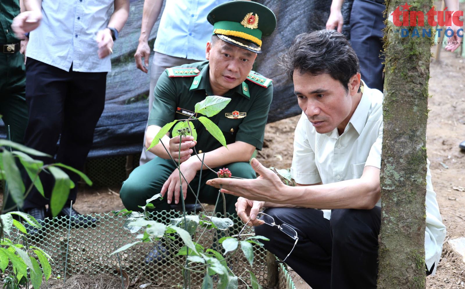 Chú thích ảnh