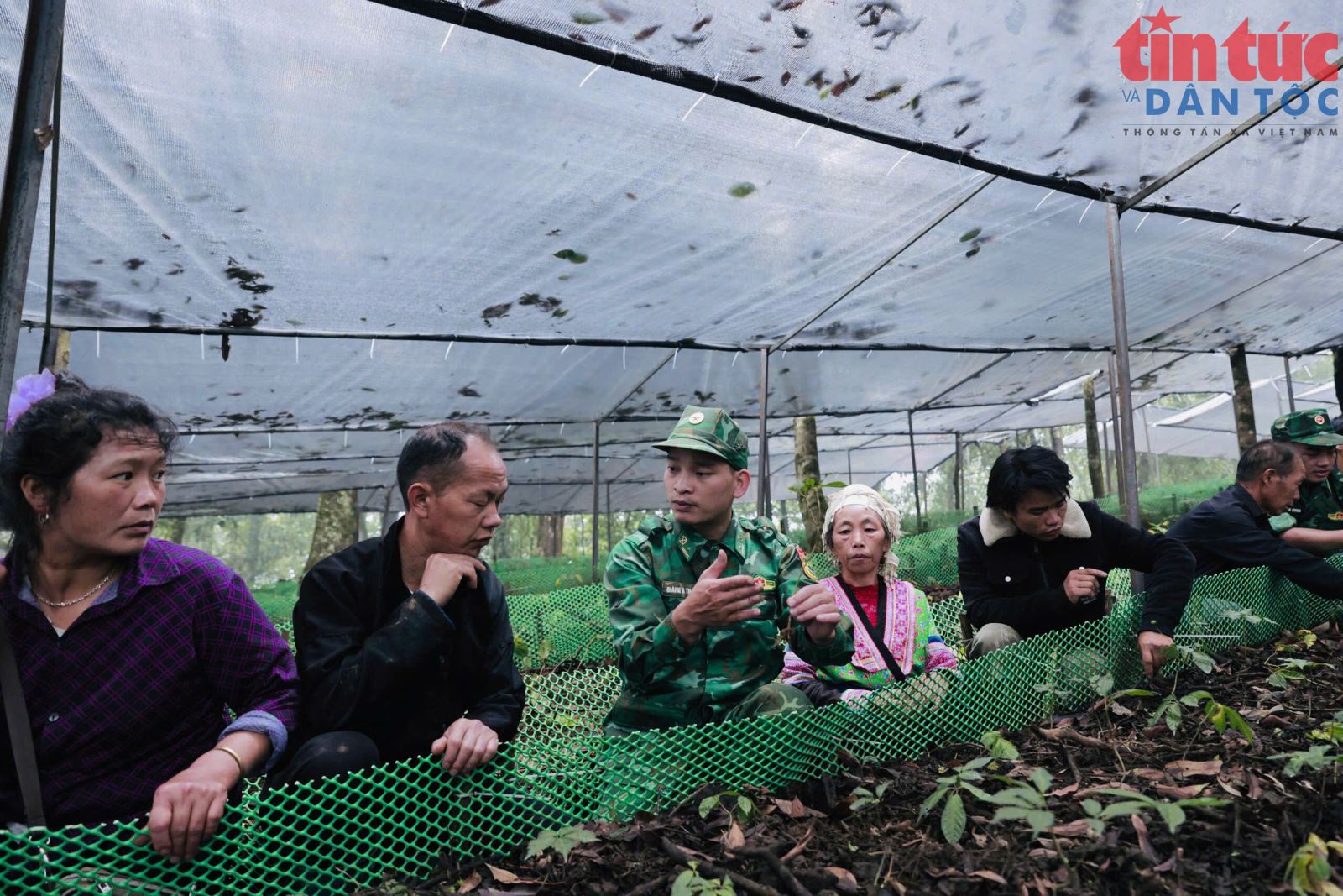 Chú thích ảnh