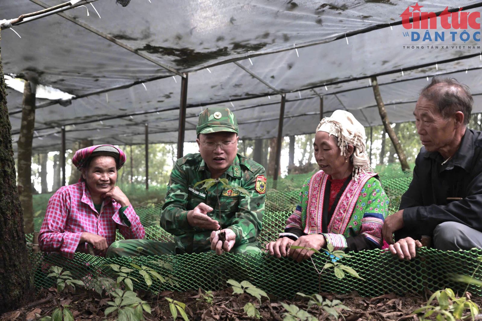Chú thích ảnh