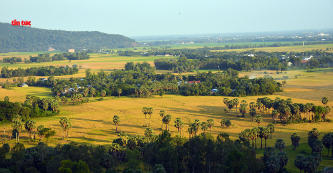 Vào mùa lúa chín, vùng đất An Giang trở thành một ảo tưởng của những cánh camera. Những cánh đồng ngập nước mênh mông, những chiếc bè đưa đón người nông dân và những khung cảnh lãng mạn được tạo nên bởi những bông lúa chín. Hãy cùng chiêm ngưỡng những hình ảnh đầy màu sắc và cảm nhận những giá trị tinh túy của nông thôn Việt Nam.