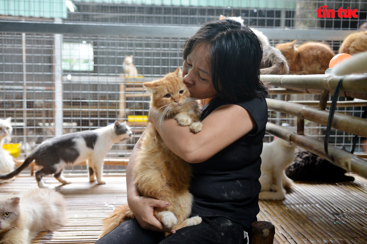 Người 'mẹ' cưu mang hơn  chó mèo ở TP Hồ Chí Minh 