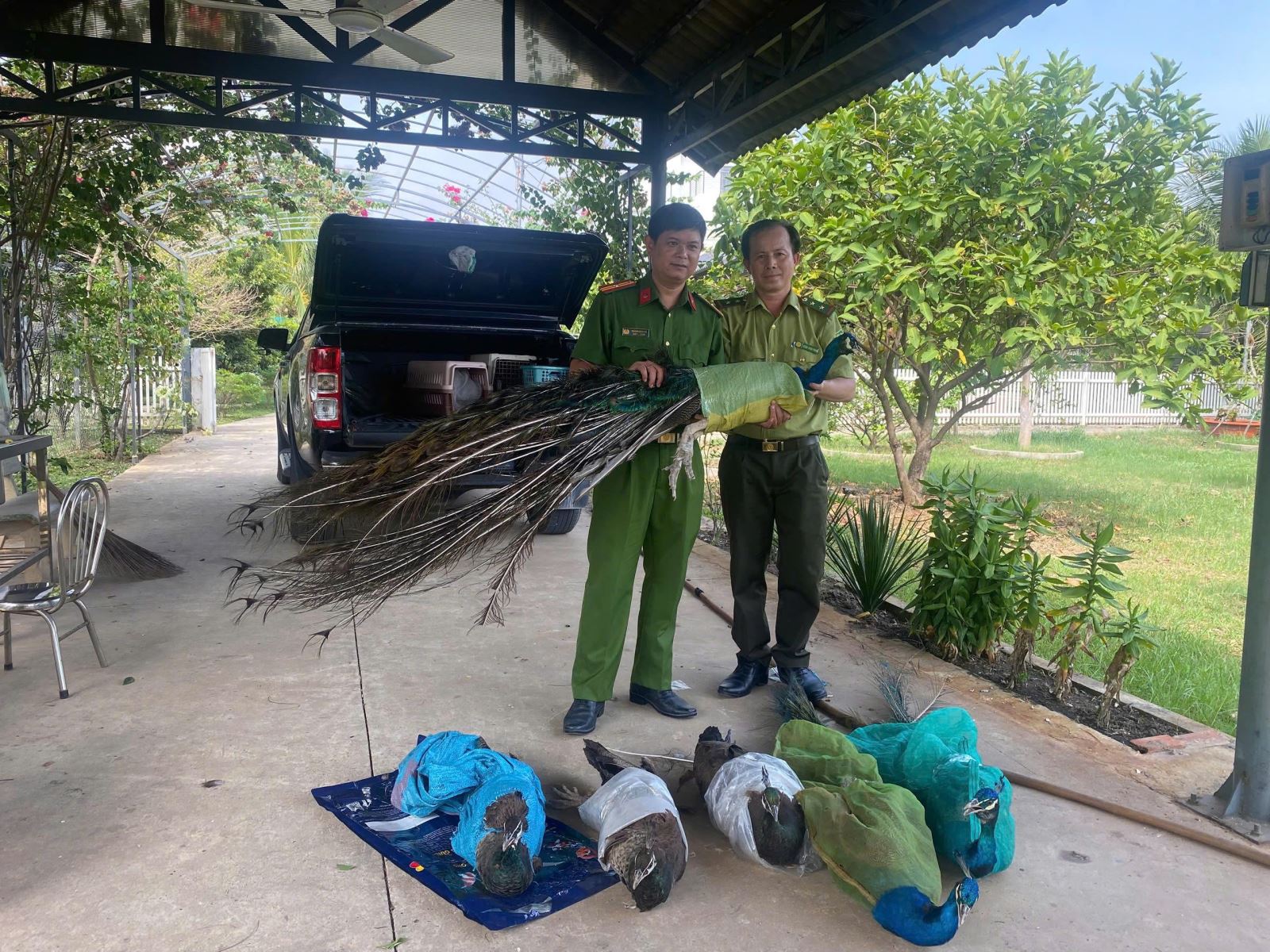 Chú thích ảnh