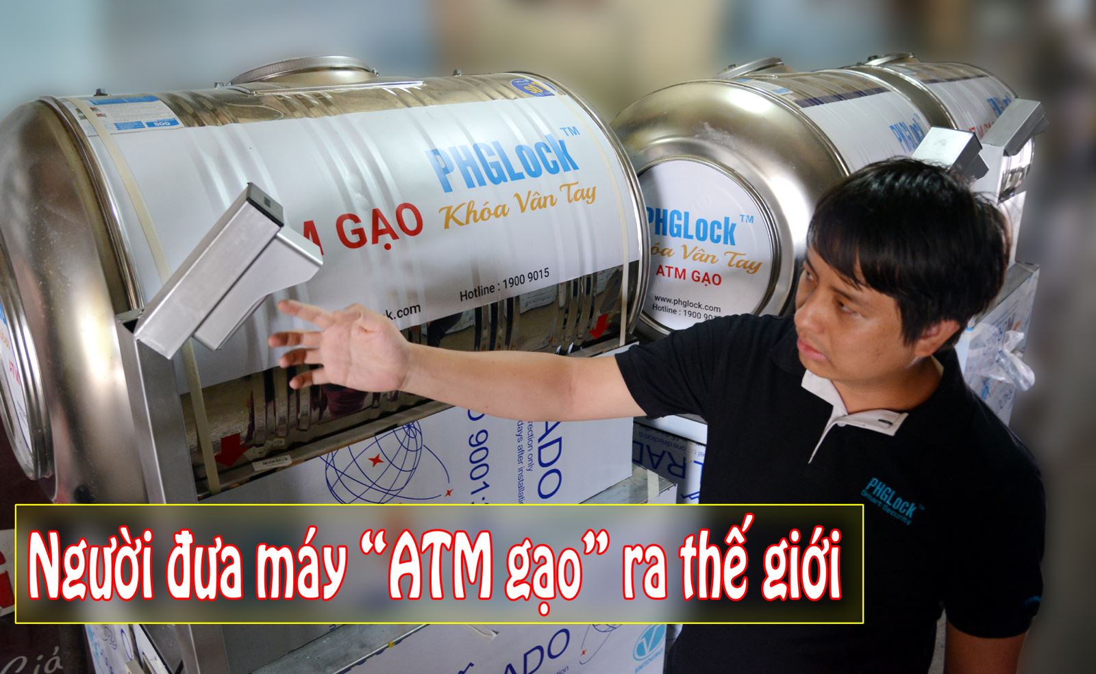 Tìm hiểu cây gạo atm là gì và cách trồng