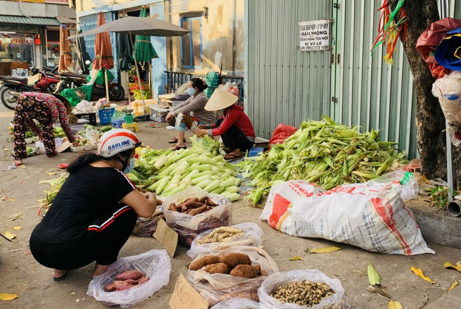 Chú thích ảnh