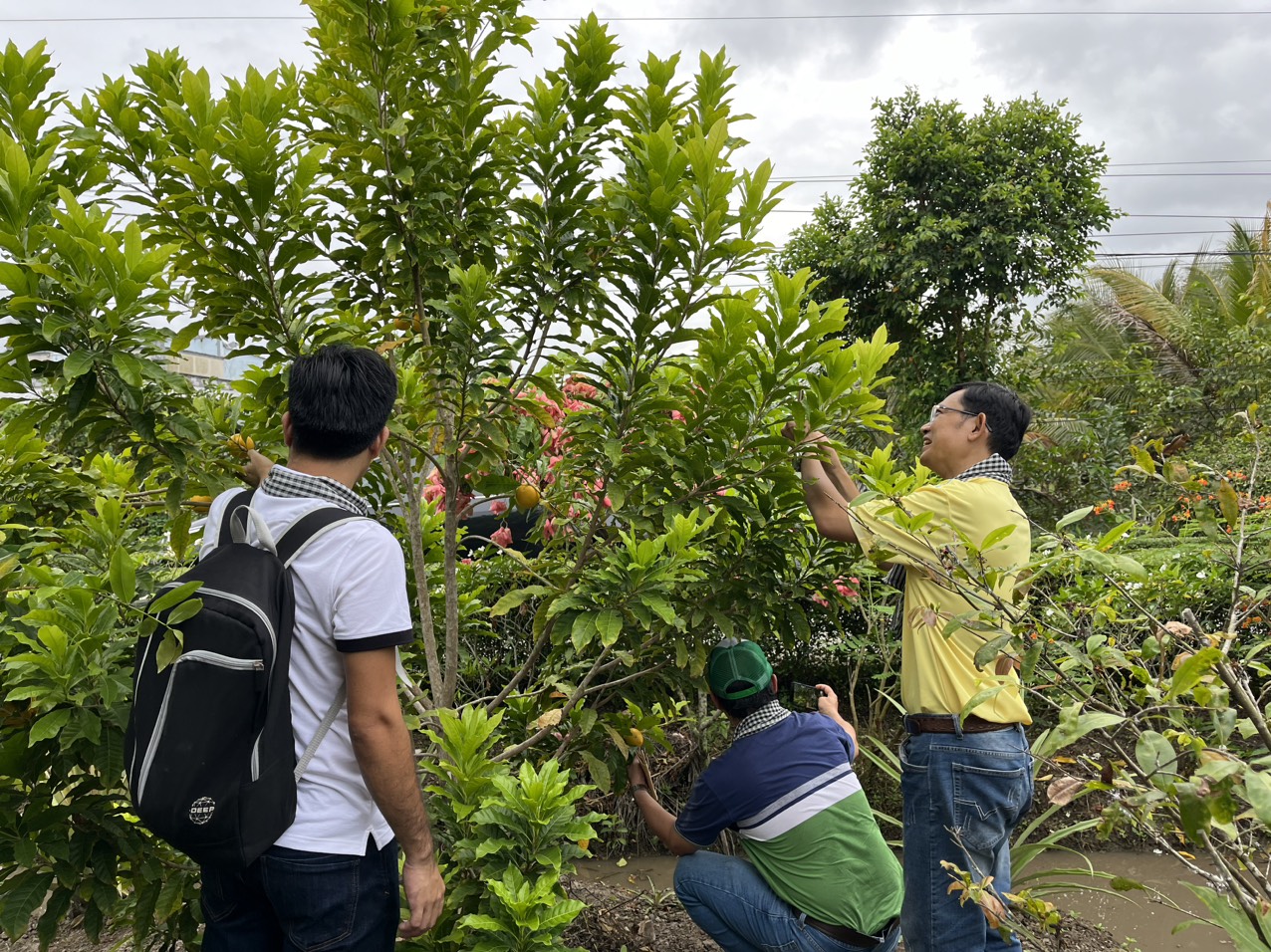 Chú thích ảnh