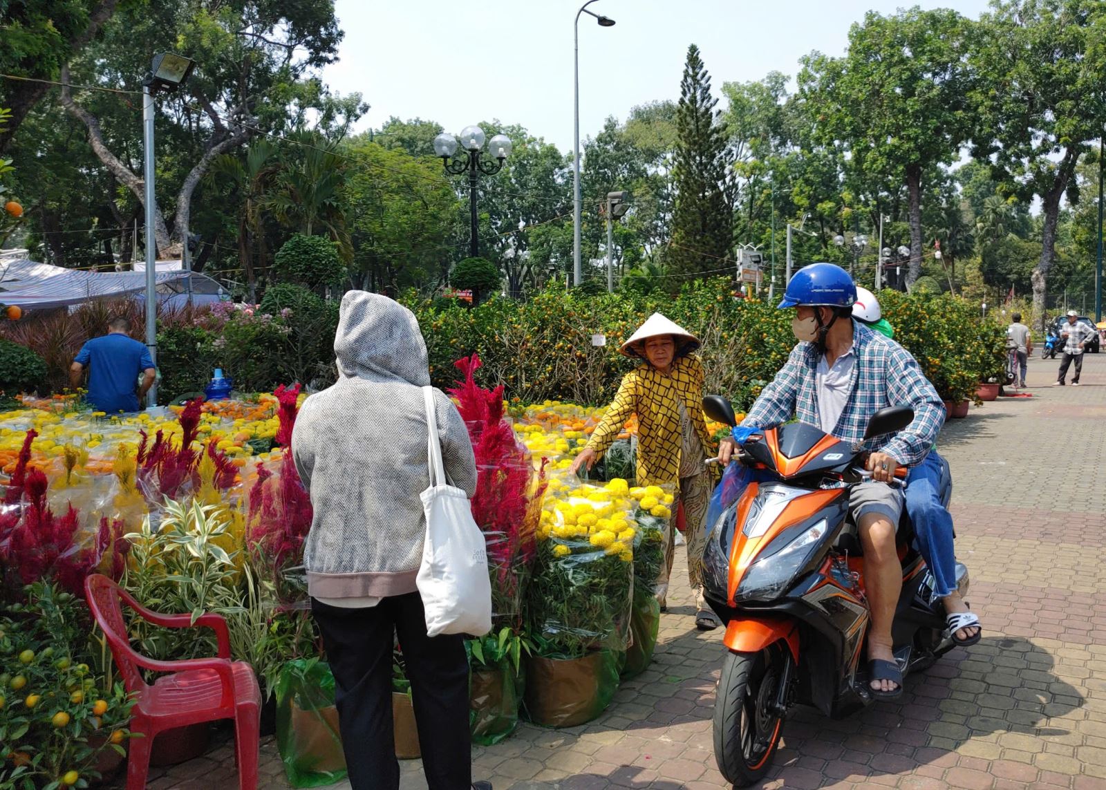 Chú thích ảnh