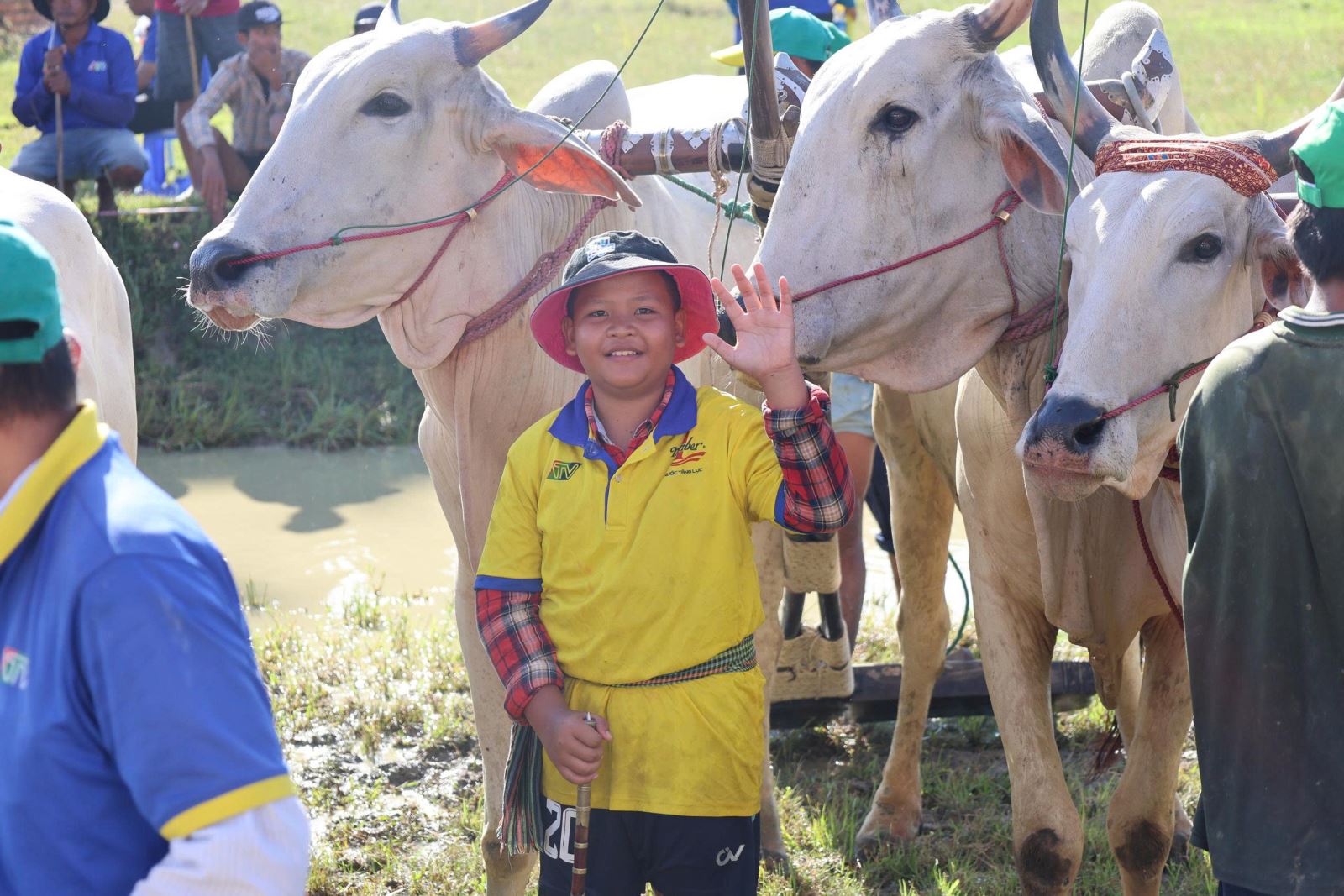 Chú thích ảnh