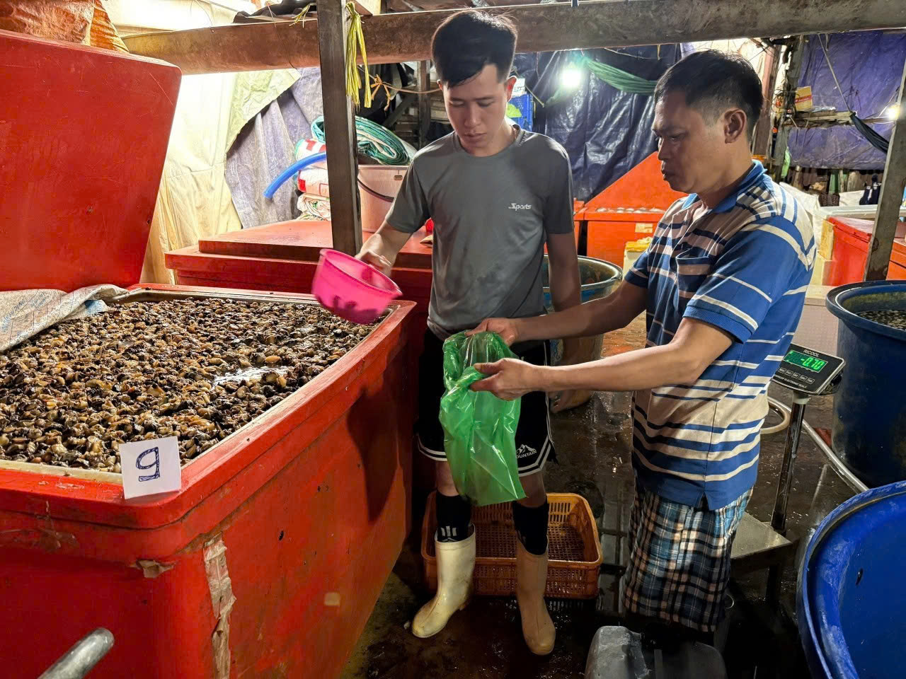 TP Hồ Chí Minh kiểm soát an toàn thực phẩm mùa Tết - Bài 1: Liên tiếp phát hiện vi phạm