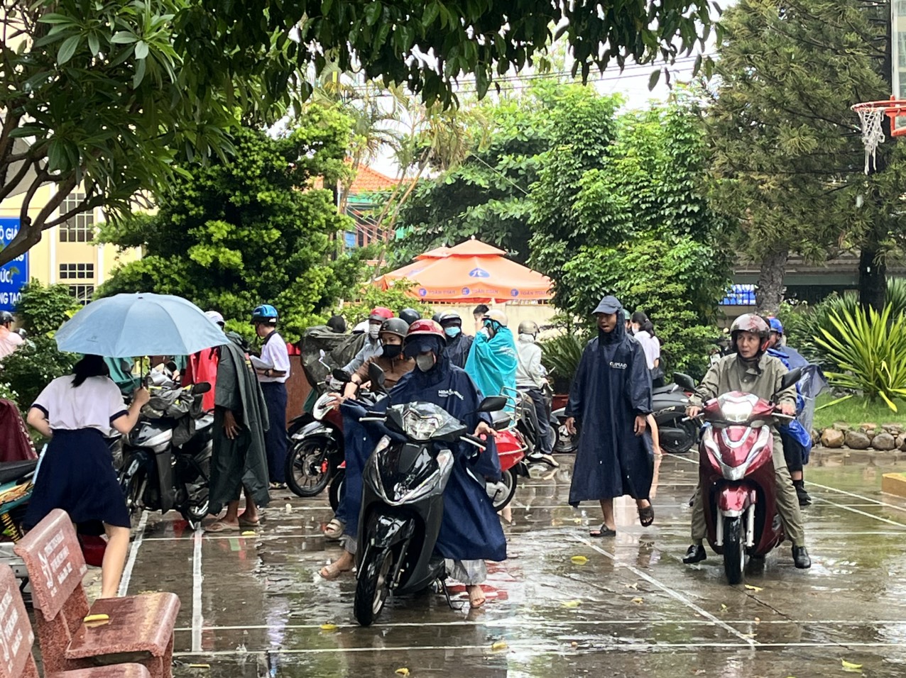 Chú thích ảnh