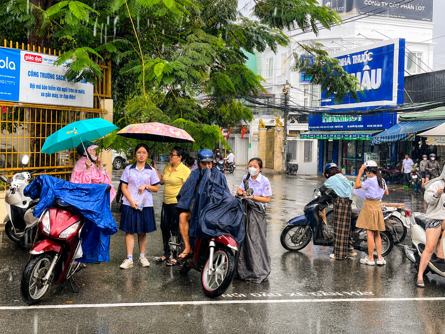 Chú thích ảnh