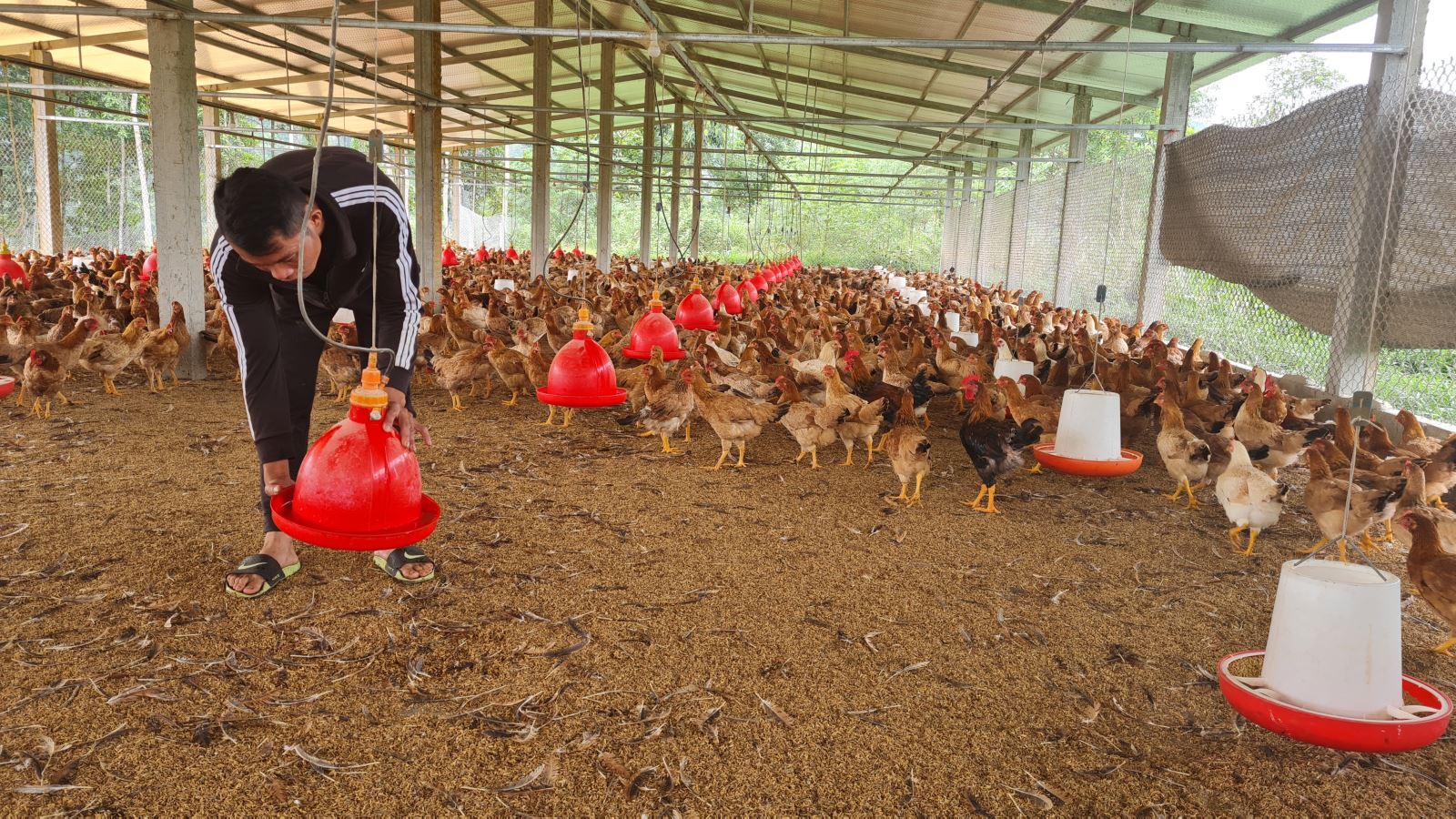 Tỉnh đoàn Bắc Ninh đồng hành cùng thanh niên trong khởi nghiệp lập nghiệp