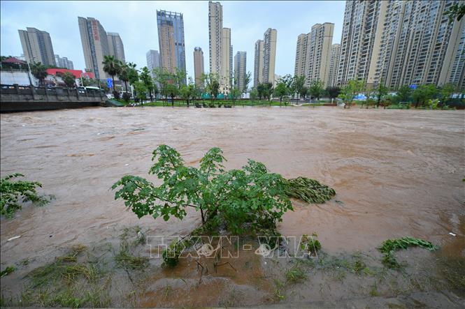 Trung Quốc: Mưa lũ đe dọa bờ kè sau vụ vỡ đê bao hồ Động Đình ...