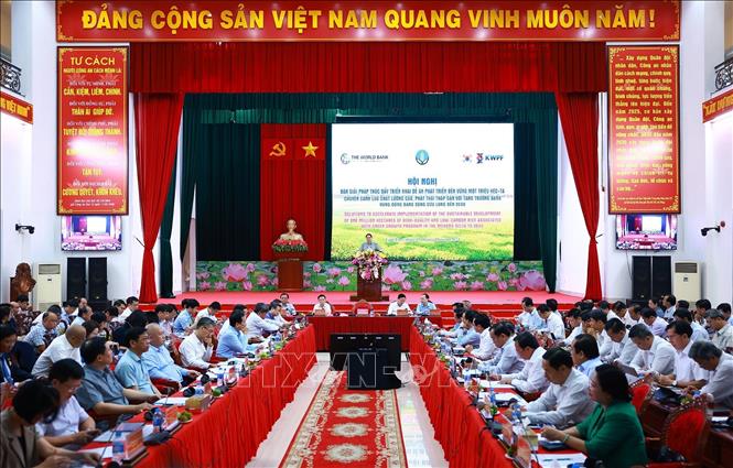 Hội nghị triển khai đề án phát triển bền vững một triệu hecta lúa vùng Đồng bằng sông Cửu Long. Ảnh: Dương Giang/TTXVN