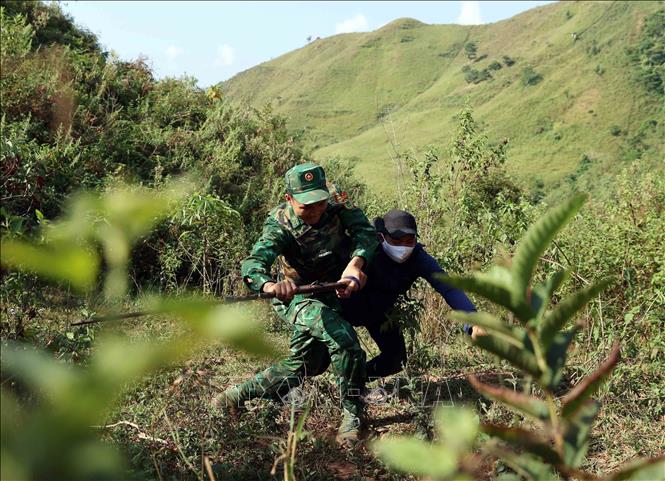 Chú thích ảnh