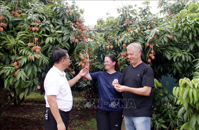 Chú thích ảnh Chú thích ảnh