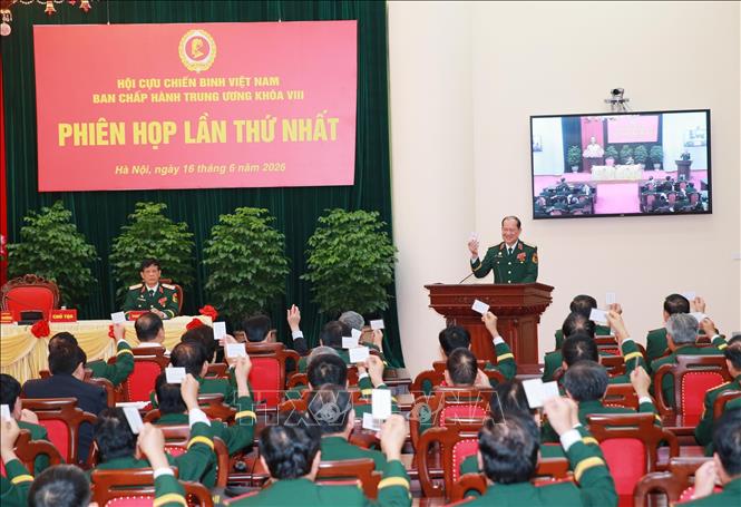 Thượng tướng Bế Xuân Trường tái đắc cử Chủ tịch Hội Cựu chiến binh Việt Nam khóa VIII Chú thích ảnh