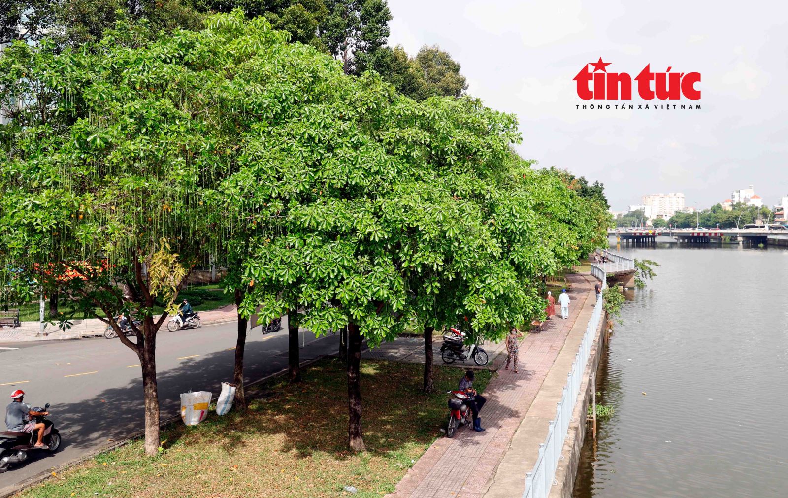 Chú thích ảnh