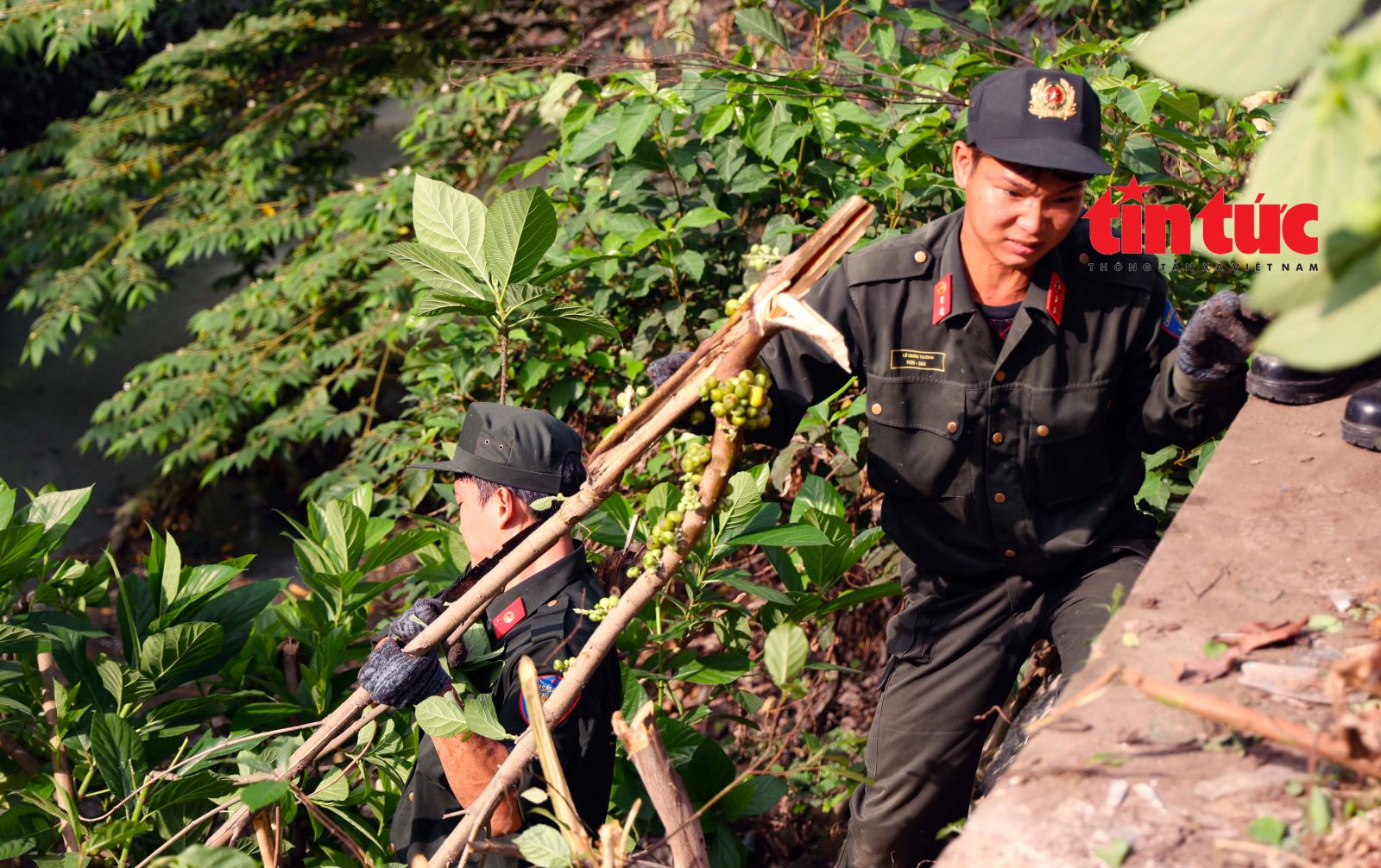 Chú thích ảnh