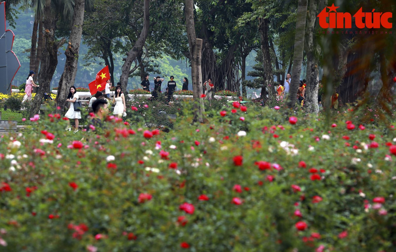 Chú thích ảnh