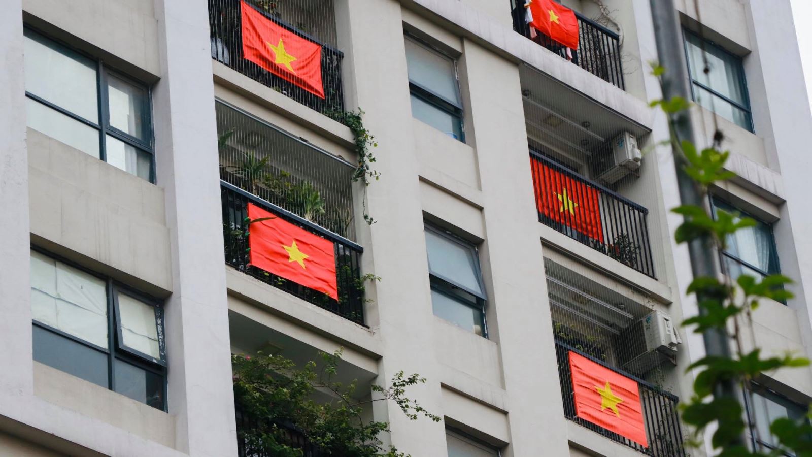 Cờ đỏ: Cờ đỏ - biểu tượng của sự nhiệt huyết, sức mạnh và độc lập. Để tự hào về lá cờ cũng như đất nước Việt Nam, chúng ta cần tôn trọng và bảo vệ cờ đỏ tình yêu quý của tổ quốc. Hãy để tâm hồn mình bay cao cùng cờ đỏ.