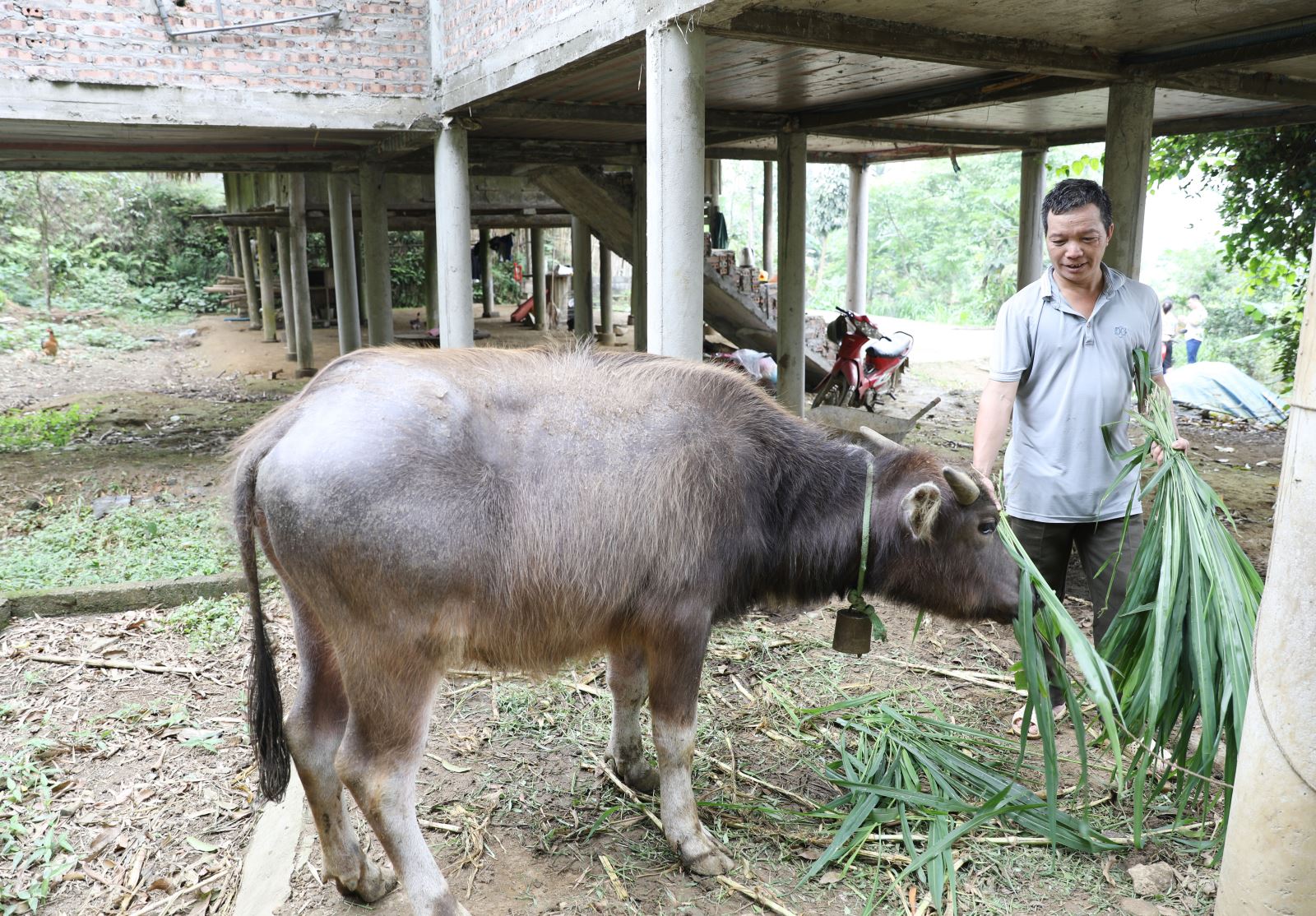 Chú thích ảnh