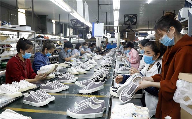 Lĩnh vực sản xuất da giày có xu hướng tăng tuyển dụng. Ảnh: TTXVN.