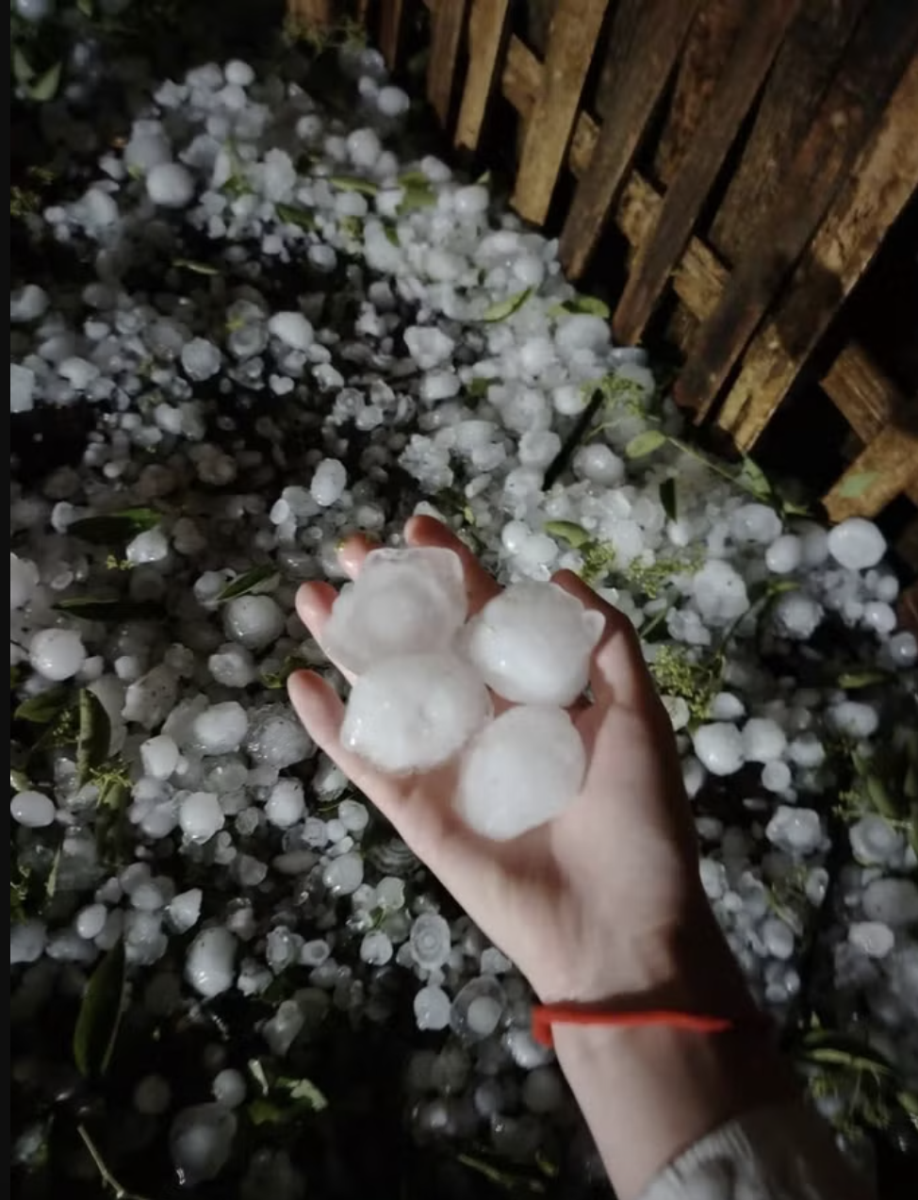 Mưa đá, dông lốc gây thiệt hại trên 30 tỷ đồng tại Lào Cai Chú thích ảnh