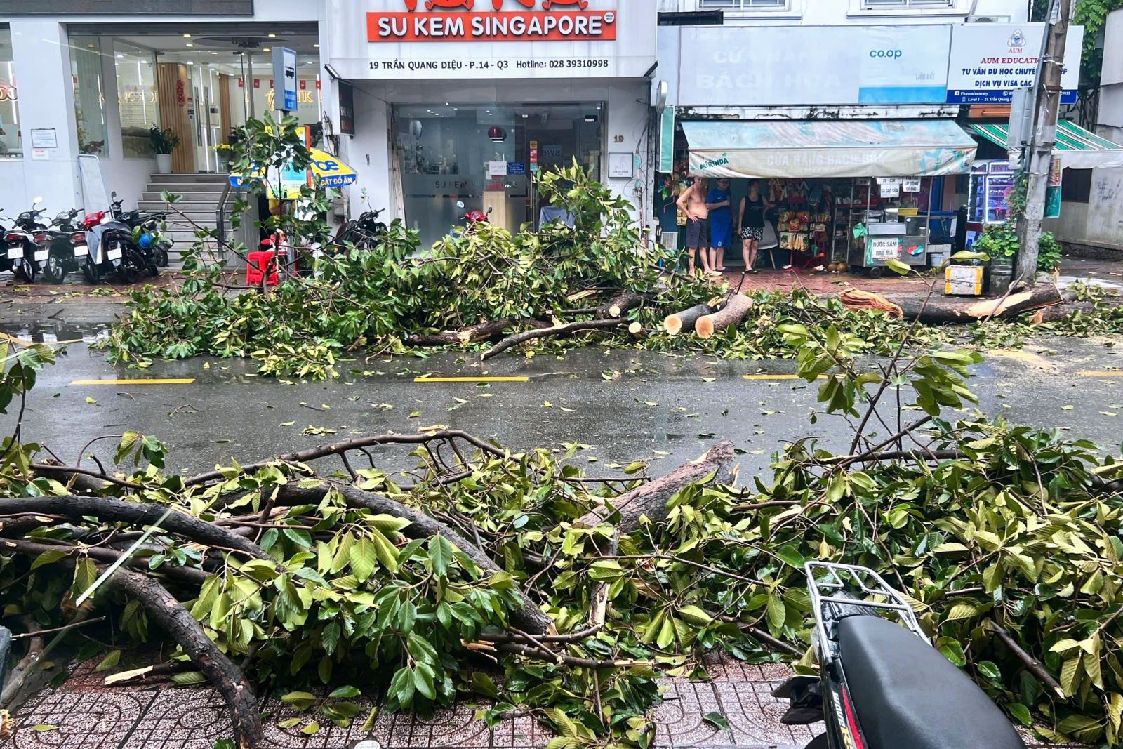 Chú thích ảnh
