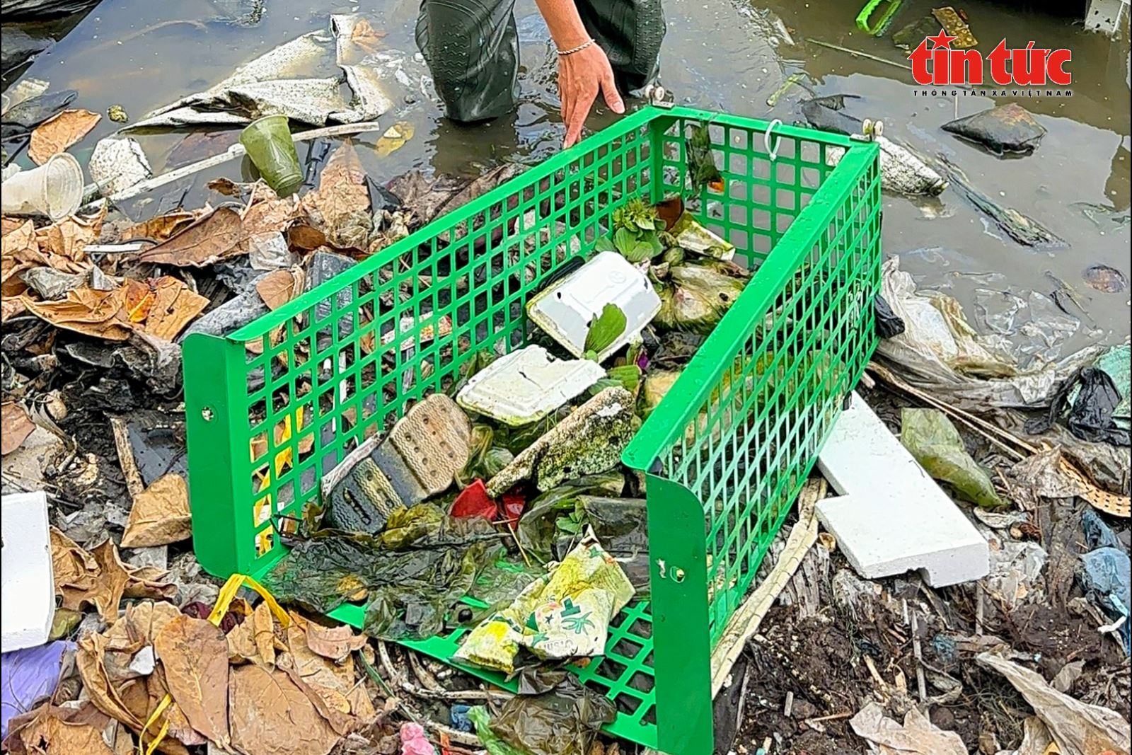 Chú thích ảnh