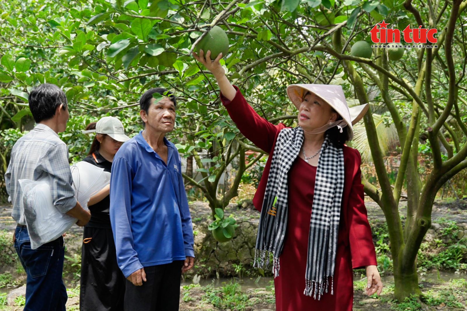 Chú thích ảnh