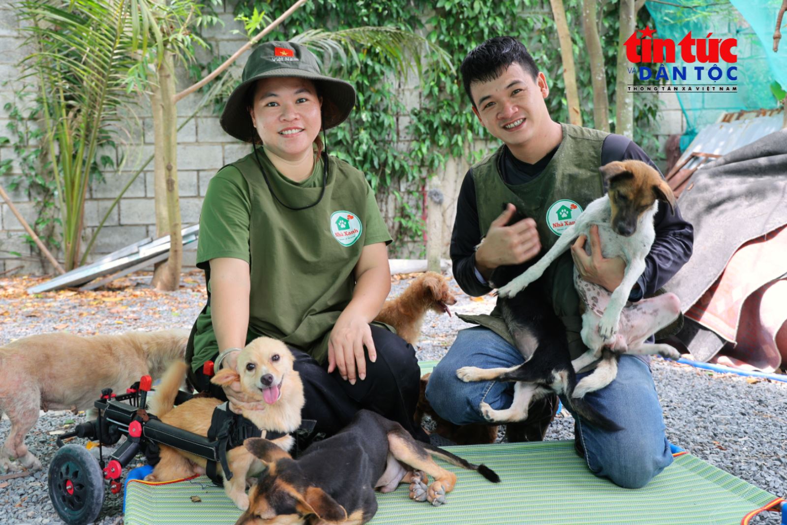 Chú thích ảnh