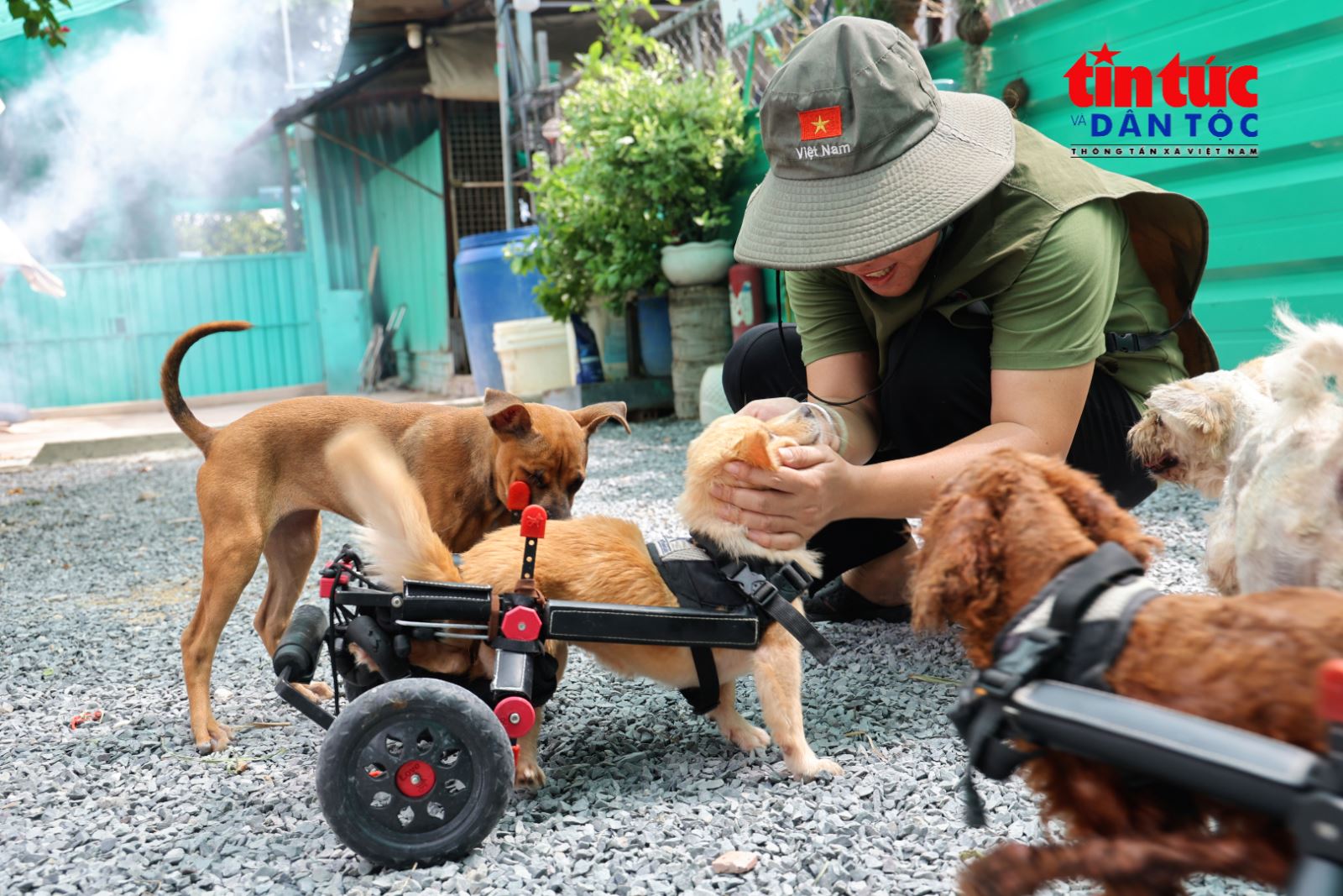 Chú thích ảnh