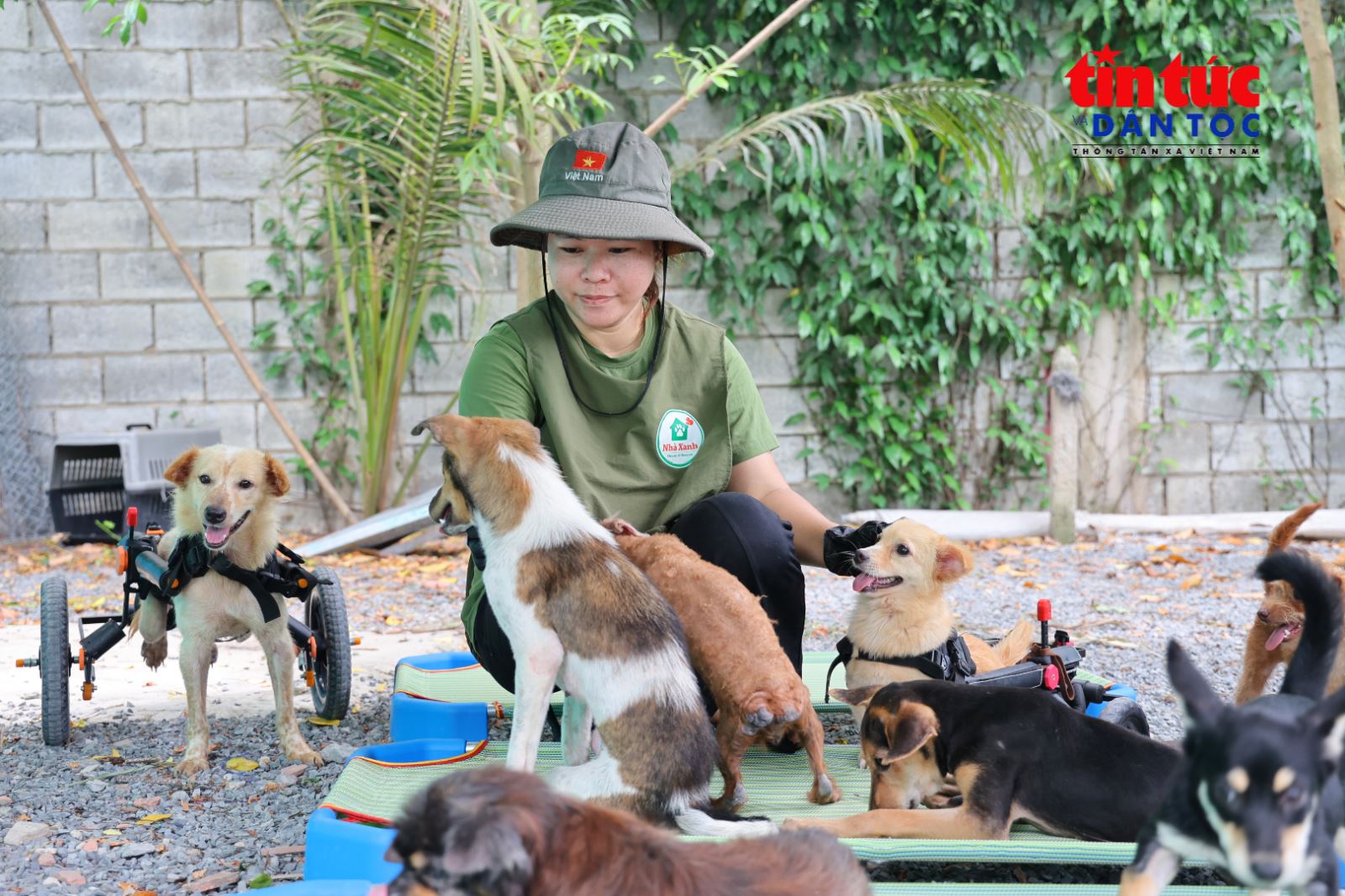 Chú thích ảnh