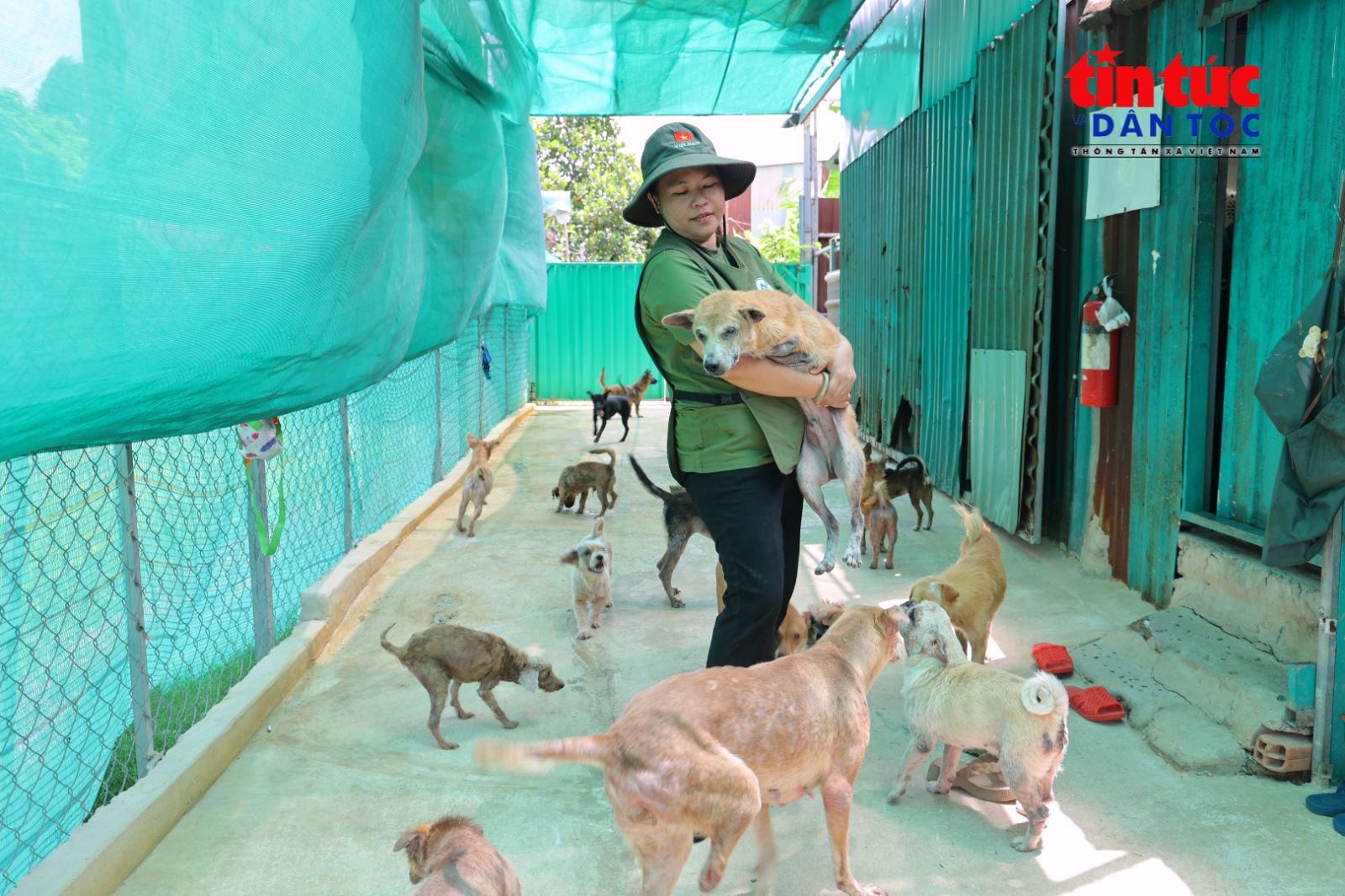 Chú thích ảnh