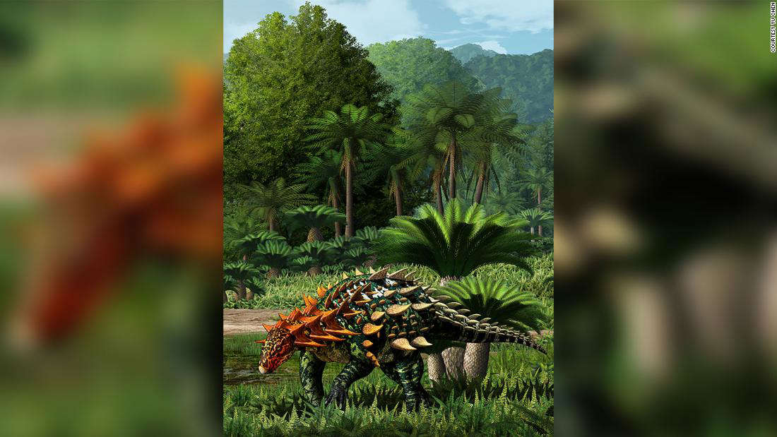 New armored dinosaur discovered in China