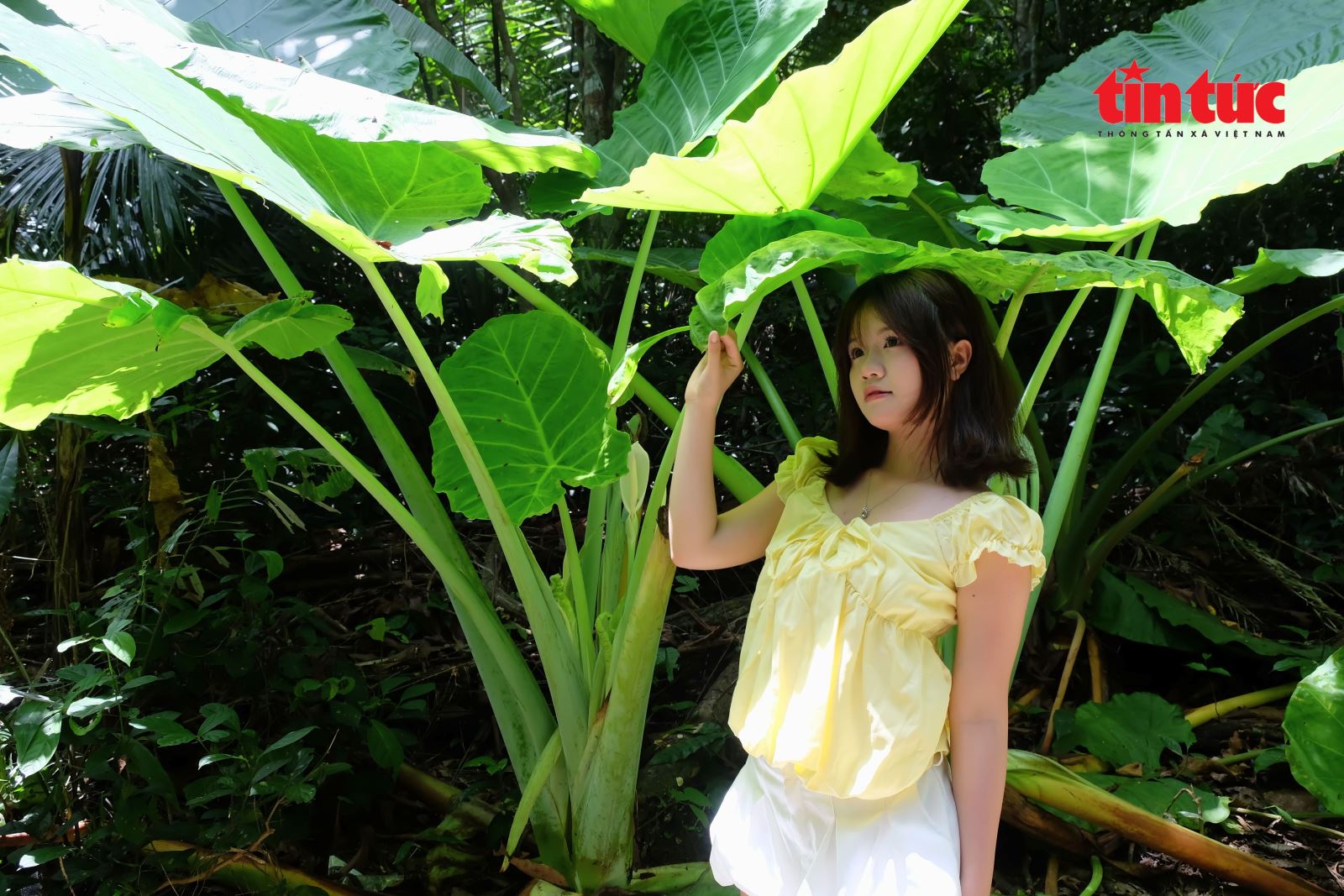 Chú thích ảnh